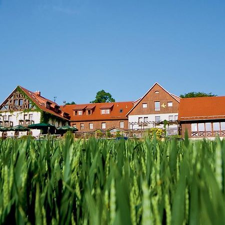 Hotel Neue Hoehe Klingenberg Εξωτερικό φωτογραφία