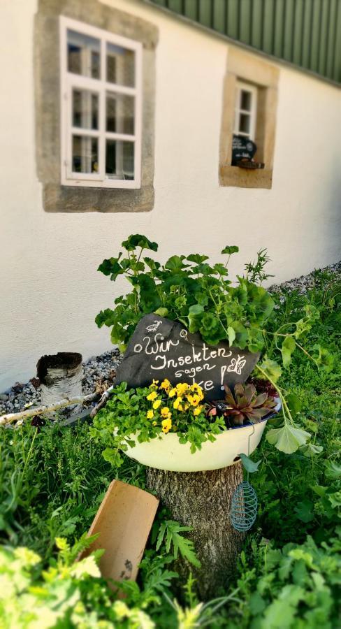 Hotel Neue Hoehe Klingenberg Εξωτερικό φωτογραφία