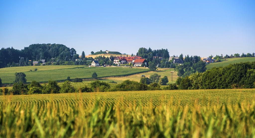 Hotel Neue Hoehe Klingenberg Εξωτερικό φωτογραφία