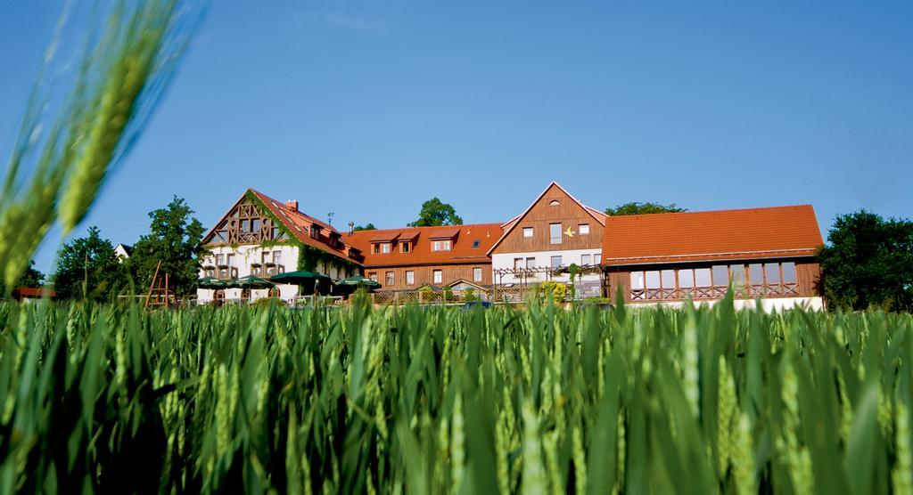 Hotel Neue Hoehe Klingenberg Εξωτερικό φωτογραφία